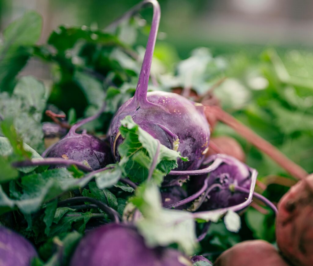 Kohlrabi-Kartoffel-Ragout mit einer leichten Sahnesoße