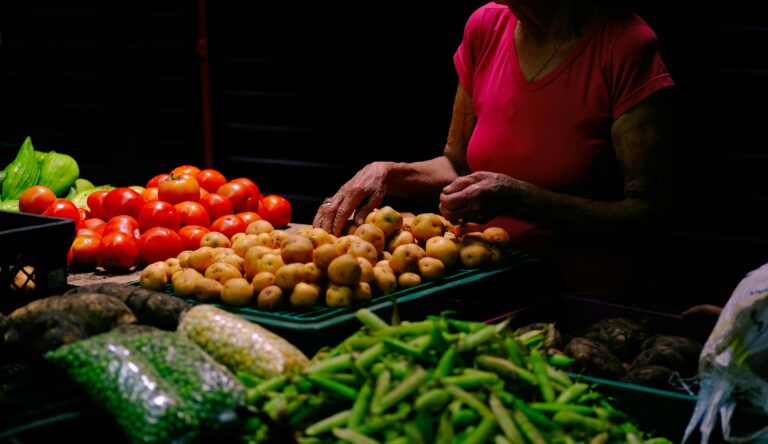 Grüne Bohnen in einer frischen Tomatensoße mit Knoblauch