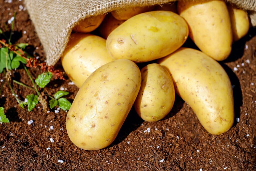 Wie kocht man Pellkartoffeln, damit sie sich leicht pellen lassen