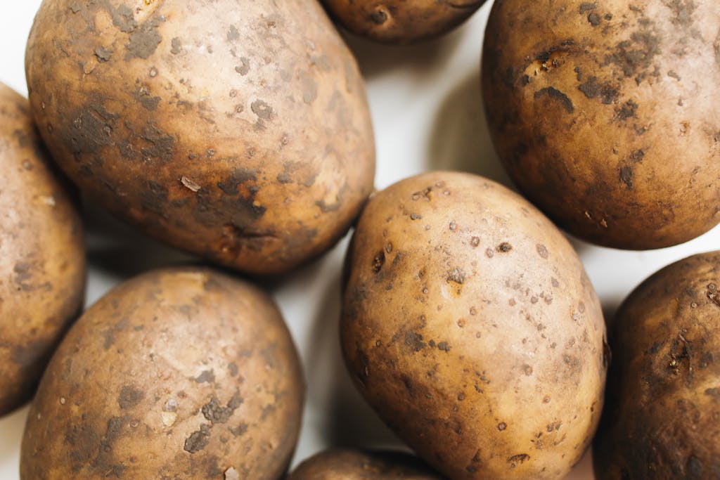 Welche Kartoffelsorten eignen sich am besten für Kartoffelgratin
