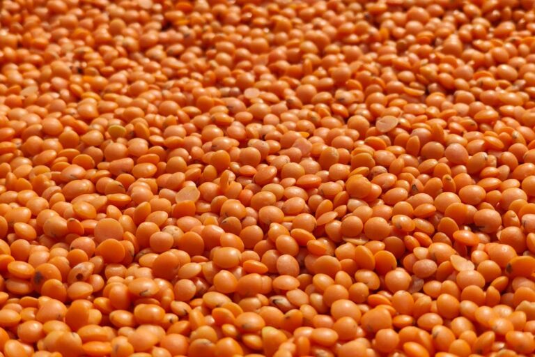 Welche Gewürze eignen sich für Linsengerichte, damit sie aromatisch und nicht langweilig schmecken?