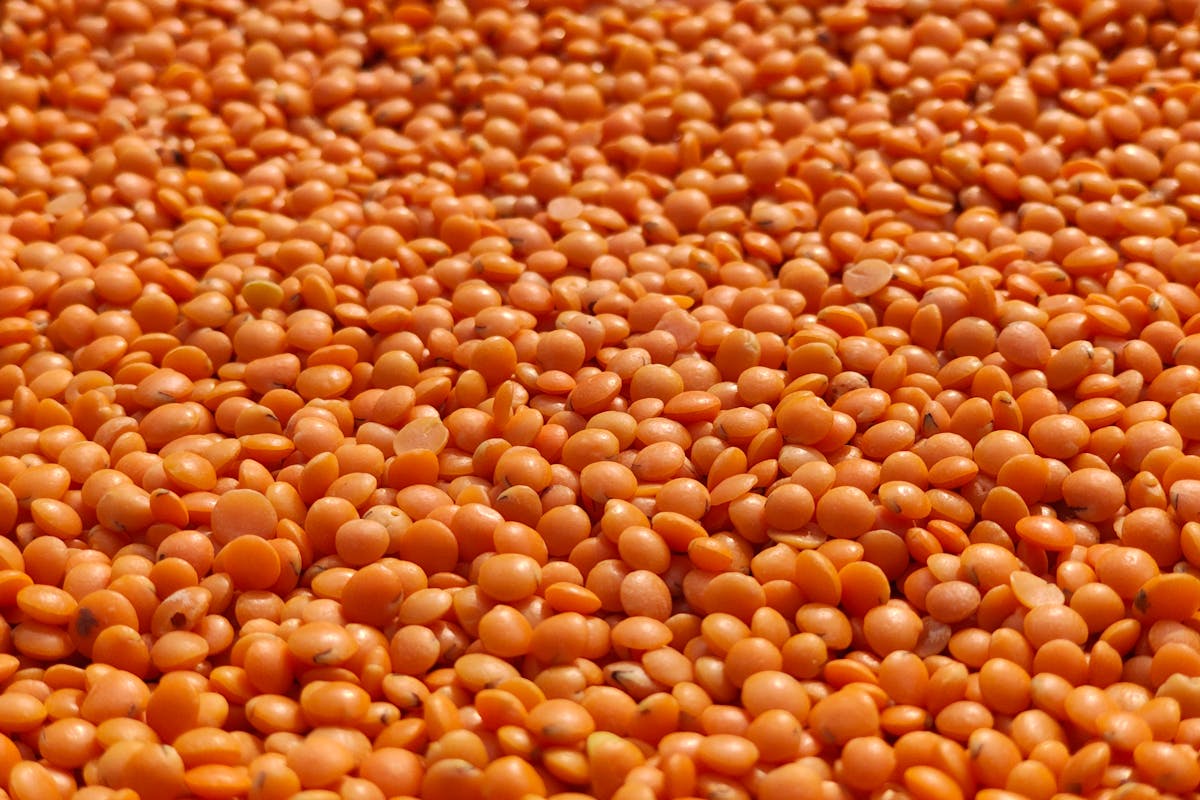 Welche Gewürze eignen sich für Linsengerichte, damit sie aromatisch und nicht langweilig schmecken?