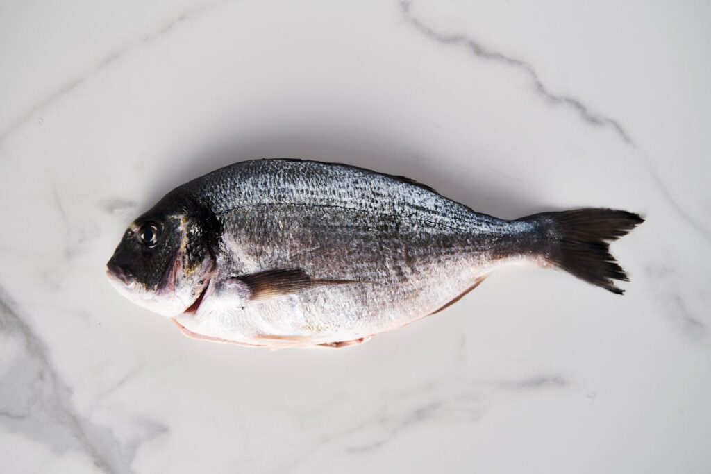 Wie bereitet man hausgemachte Fischfrikadellen mit Dillsoße zu?