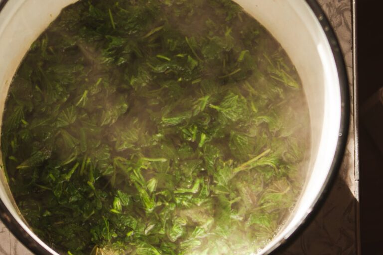 Wie gelingt ein würziger Grünkohltopf mit Kartoffeln in kurzer Zeit?