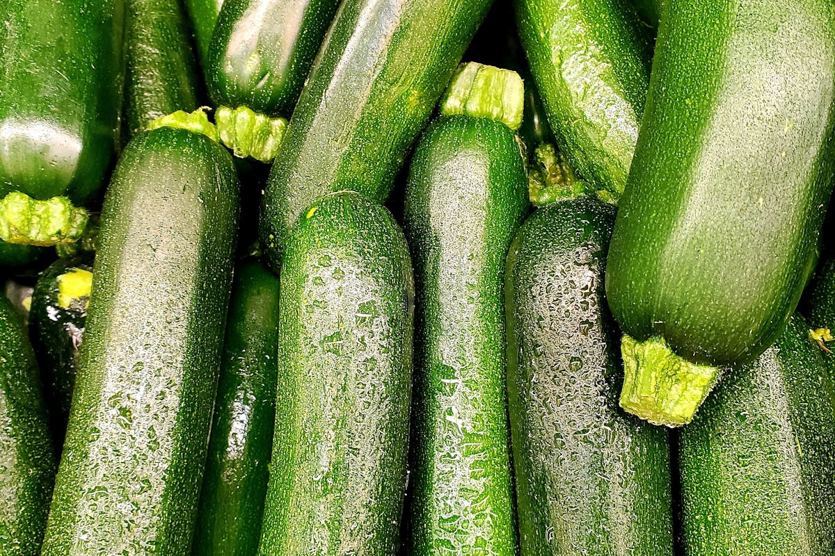 Wie bereitet man eine schnelle Zucchini-Lasagne ohne Nudeln zu?