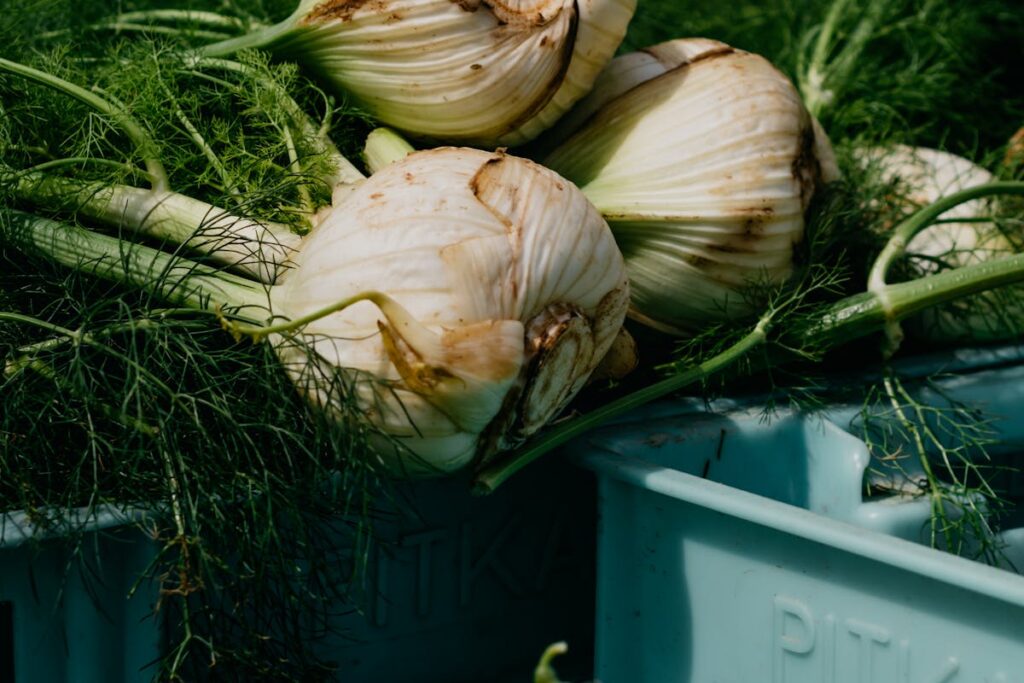 Wie bereitet man eine schnelle Fenchelsuppe mit Orangensaft zu