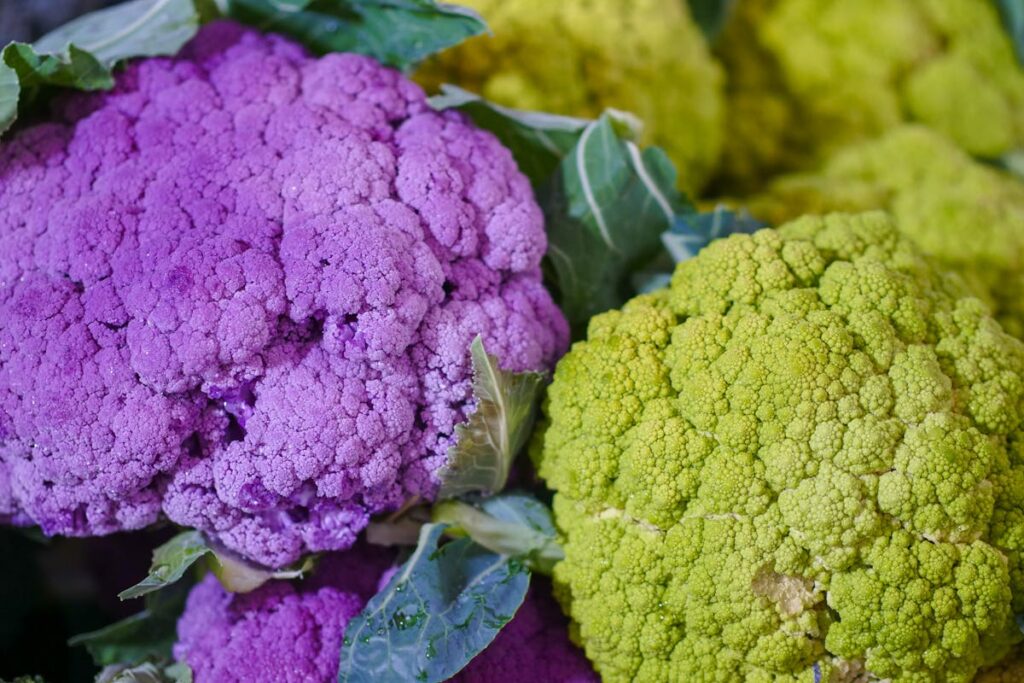 Cremiges Blumenkohlpüree mit Knoblauch – so gelingt es perfekt 32 Wie gelingt ein cremiges Blumenkohlpüree mit Knoblauch