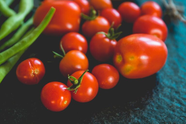 Grüne Bohnen in einer würzigen Tomatensoße