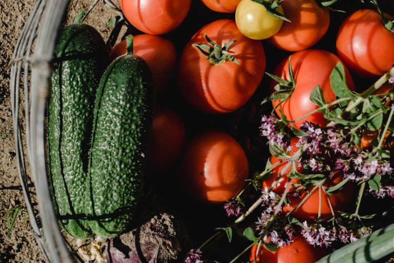 Wie macht man eine würzige Zucchini-Tomaten-Pfanne?